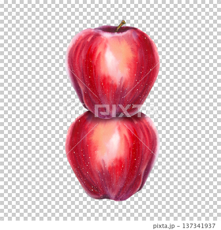 Watercolor illustration of two red apples stacked vertically. Hand-painted botanical still life. Illustration for packaging, labels, menus, posters, seasonal holidays, and food branding. Watercolor illustration of two red apples stacked vertically. Hand-painted botanical still life. Illustration for packaging, labels, menus, posters, seasonal holidays, and food branding. 137341937