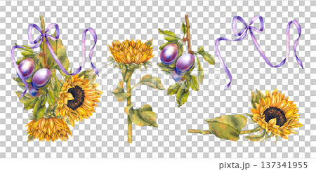 Watercolor illustration set bunch purple plums and yellow sunflowers tied with violet ribbon in rustic botanical style. Illustration for autumn decor jam packaging kitchen textiles and seasonal cards. 137341955