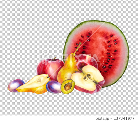 Watercolor illustration of watermelon slice, apples, pears, and plums on white background. Bright and juicy fruit composition for food packaging, summer menus, diet content, or wellness branding. Watercolor illustration of watermelon slice, apples, pears, and plums on white background. Bright and juicy fruit composition for food packaging, summer menus, diet content, or wellness branding. 137341977