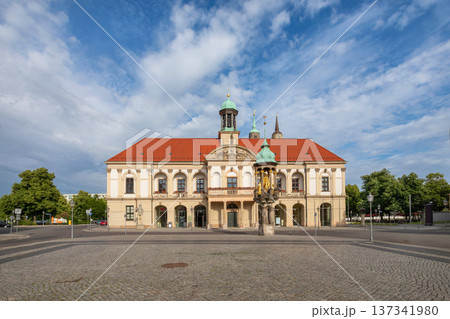 Old Town Hall in Magdeburg 137341980