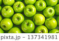 たくさんの青リンゴのイメージ画像 137341981