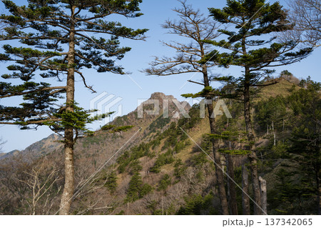 石鎚山登山、愛媛県 石鎚山登山、愛媛県 137342065