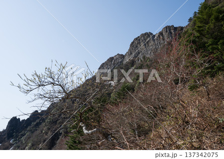石鎚山登山、愛媛県 石鎚山登山、愛媛県 137342075