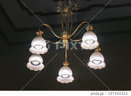 Set against a dark backdrop, this Art Nouveau chandelier exemplifies the Liberty style with its polished brass frame and five gracefully undulating arms. Each arm bears a delicate, flower-shaped shade Set against a dark backdrop, this Art Nouveau chandelier exemplifies the Liberty style with its polished brass frame and five gracefully undulating arms. Each arm bears a delicate, flower-shaped shade 137342151