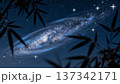 竹のシルエット越しに輝く天の川と星空 137342171