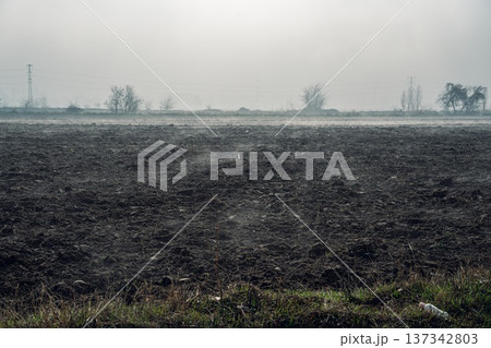 Foggy Landscape Over Plowed Field Foggy Landscape Over Plowed Field 137342803