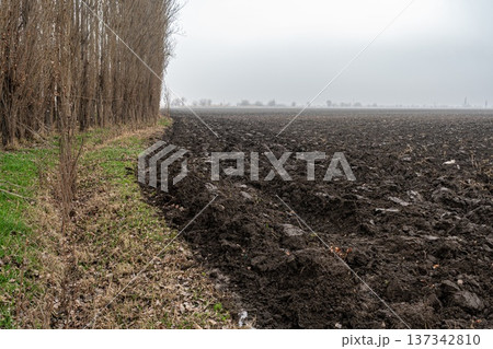 Plowed Field and Tree Line Under Foggy Sky Plowed Field and Tree Line Under Foggy Sky 137342810