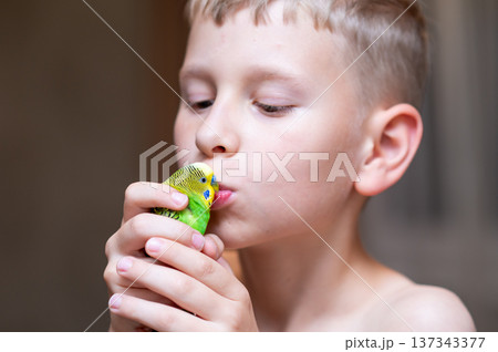 Blond teenage boy holding green budgie and kissing his pet bird 137343377