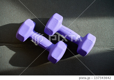 Two purple dumbbells placed on exercise mat with shadows Two purple dumbbells placed on exercise mat with shadows 137343642