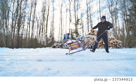 Dad pulls his son on a sled in a snowy forest next to a pile of firewood on a sunny winter day 137344913