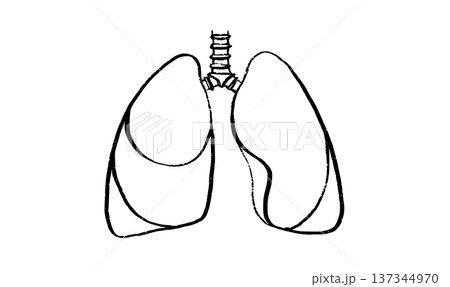 Lungs Sketch Poster 137344970