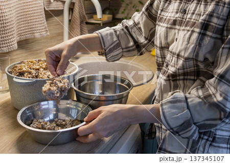 person feeds the dogs with food from a pot. woman cooked porridge with meat for her pets. person feeds the dogs with food from a pot. woman cooked porridge with meat for her pets. 137345107