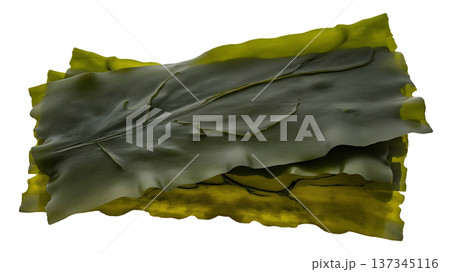 Green Seaweed Sheet with Textured Surface and Natural Details 137345116