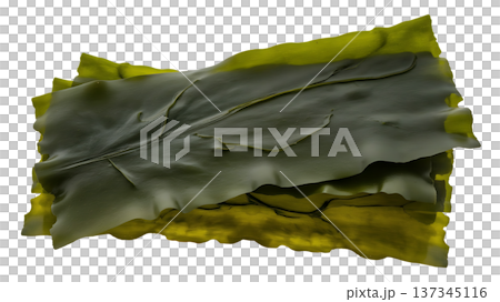 Green Seaweed Sheet with Textured Surface and Natural Details 137345116