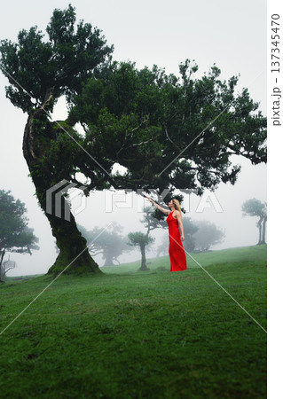 Woman in red dress by ancient oak contemplative traveler Woman in red dress by ancient oak contemplative traveler 137345470