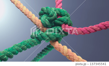 Vibrant Intertwined Knot: A Colorful Display of Unity and Contrast Vibrant Intertwined Knot: A Colorful Display of Unity and Contrast 137345541