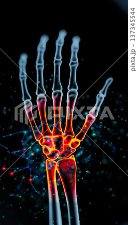 Luminescent Hand Skeleton: A Glowing Exploration of Bones and Joints Luminescent Hand Skeleton: A Glowing Exploration of Bones and Joints 137345544