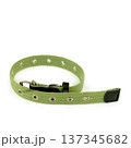 Durable Green Canvas Dog Collar with Metal Buckle and Eyelets 137345682