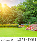 Picturesque Public Park View with Blooming Flowers and Lush Trees 137345694