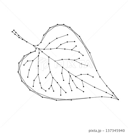 plant leaf from abstract futuristic polygonal black lines and dots 137345940