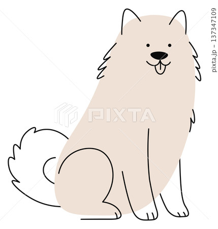 Malamute doodle. Funny dog. Cute animal breed Malamute doodle. Funny dog. Cute animal breed 137347109