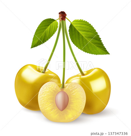 Cherry berry Cherry berry 137347336