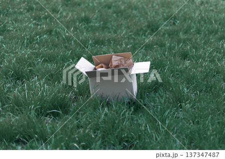 Open cardboard box with natural kraft paper filler placed on fresh green grass. Eco packaging concept and sustainable shipping background. Open cardboard box with natural kraft paper filler placed on fresh green grass. Eco packaging concept and sustainable shipping background. 137347487