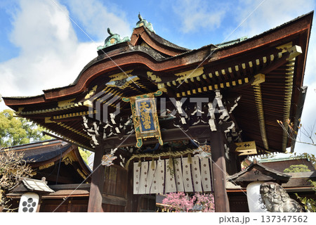 早春の北野天満宮 三光門(京都市上京区) 早春の北野天満宮 三光門(京都市上京区) 137347562