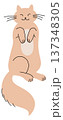 Cute kitten sit in funny pose color doodle 137348305