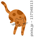 Playful cat pose. Funny pet emoji doodle 137348313