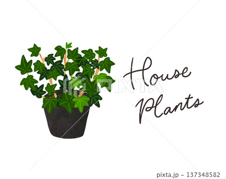 HousePlantsとアイビー（へデラ）の鉢植え　水彩風手描きイラスト 137348582