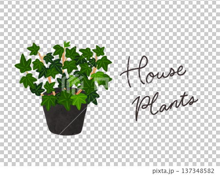 HousePlantsとアイビー（へデラ）の鉢植え　水彩風手描きイラスト 137348582