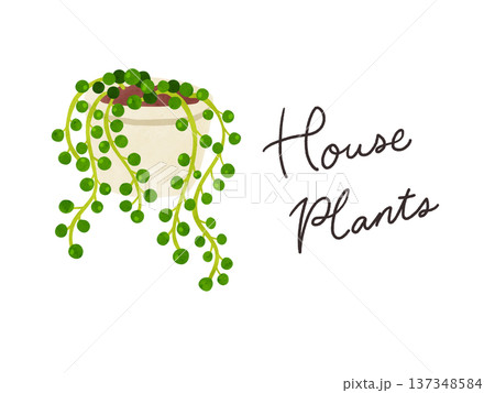 HousePlantsとグリーンネックレスの鉢植え 水彩風手描きイラスト HousePlantsとグリーンネックレスの鉢植え 水彩風手描きイラスト 137348584