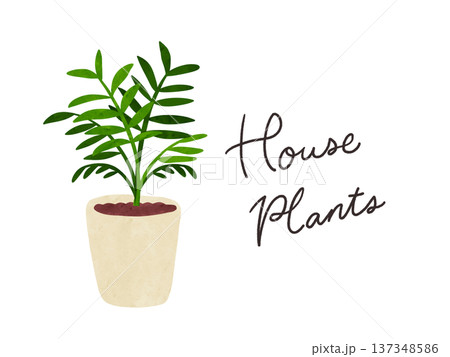 HousePlantsとテーブルヤシの鉢植え 水彩風手描きイラスト HousePlantsとテーブルヤシの鉢植え 水彩風手描きイラスト 137348586