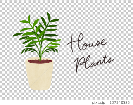 室內植物和盆栽棕櫚樹 - 水彩手繪插圖 室內植物和盆栽棕櫚樹 - 水彩手繪插圖 137348586