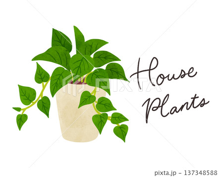 HousePlantsとポトスの鉢植え　水彩風手描きイラスト 137348588