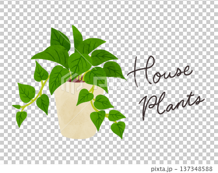 HousePlantsとポトスの鉢植え　水彩風手描きイラスト 137348588