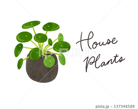 HousePlantsとピレア・ぺぺロミオイデスの鉢植え　水彩風手描きイラスト 137348589