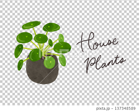 HousePlantsとピレア・ぺぺロミオイデスの鉢植え　水彩風手描きイラスト 137348589