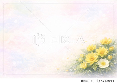 フレーム素材　花　フクジュソウ 137348644