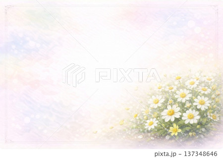 フレーム素材　花　カモミール 137348646