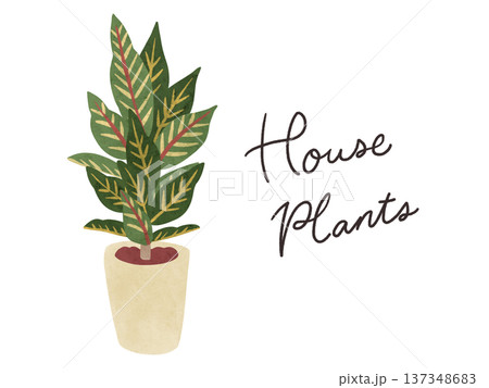 HousePlantsとクロトンの鉢植え　水彩風手描きイラスト 137348683