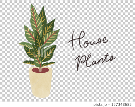 室內植物與盆栽變葉木-水彩手繪插圖 室內植物與盆栽變葉木-水彩手繪插圖 137348683