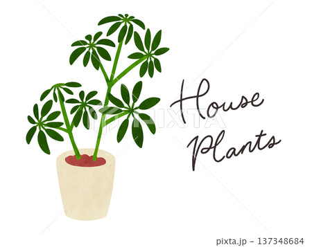 HousePlantsとシェフレラの鉢植え　水彩風手描きイラスト 137348684