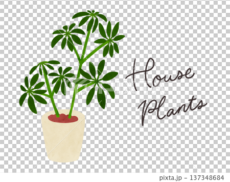 HousePlantsとシェフレラの鉢植え　水彩風手描きイラスト 137348684