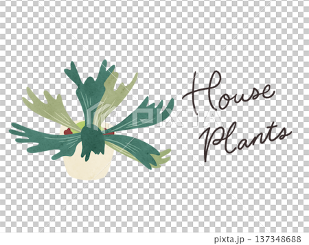 Houseplants and potted staghorn ferns - watercolor hand-drawn illustration 137348688