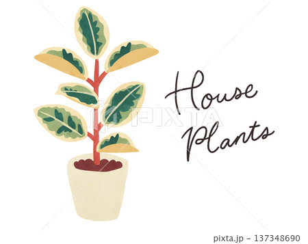 HousePlantsとフィカス・ティネケの鉢植え 水彩風手描きイラスト HousePlantsとフィカス・ティネケの鉢植え 水彩風手描きイラスト 137348690