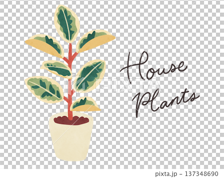 HousePlantsとフィカス・ティネケの鉢植え 水彩風手描きイラスト HousePlantsとフィカス・ティネケの鉢植え 水彩風手描きイラスト 137348690
