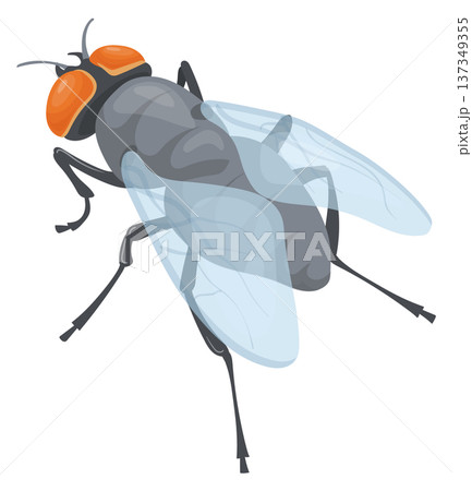 Realistic housefly icon. Creepy creature cartoon mascot Realistic housefly icon. Creepy creature cartoon mascot 137349355
