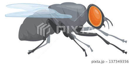 Crawling fly icon. Wildlife mascot. Realistic insect 137349356